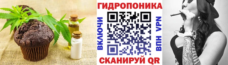 купить закладку  Сегежа  hydra маркетплейс  Canna-Cookies конопля 
