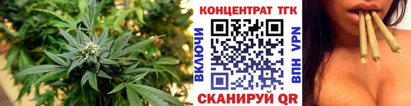 ТГК концентрат  Сегежа 